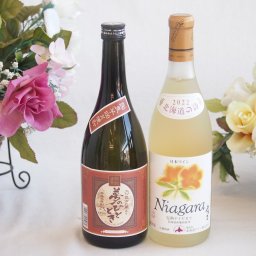 プレミアムな芋焼酎と国産ワインセット( 北海道の詩 完熟ナイヤガラ白ワイン 甘口(北海道)720ml大分井上酒造夢のひととき23°720ml