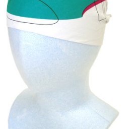なりきりバンダナ 新幹線 E5系 はやぶさ