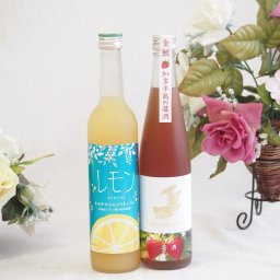 レモンいちご2本セット(盛田金しゃち酒造金鯱 知多半島の苺酒10度(愛知県) 井上酒造さわやかレモンリキュール14度(宮崎県)) 720ml×2本