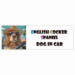 English Cocker Spaniel イングリッシュコッカースパニエル 犬 カーステッカー DOG IN CAR 海 麦わら帽子 サングラス 夏 20x6.7cm 長方形 防水 屋外 屋内 車ステッカー ステッカー 車 かっこいい おしゃれ かわいい バイク サインステッカー カーサイン