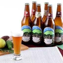 ビール ビール 地ビール 国際ビール大賞２００４で金賞受賞 やくらいビール５００ｍｌキャリー６本入り 株式会社加美町振興公社 宮城県