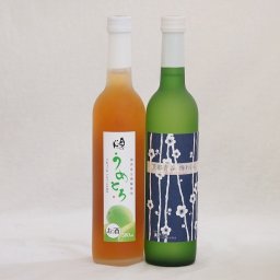 梅酒特集2本セット(京都青谷梅わいん(京都) 奥の松純米酒ベースうめとろ(福島)) 500ml×2本