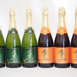 おたる醸造 甘口パークリング白赤ワイン(ナイアガラ3本 キャンベルアーリ3本) やや甘口 (北海道)720ml×6