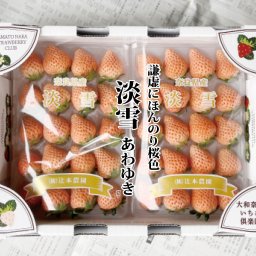 【化粧箱入】【送料無料】ブランドいちご　淡雪　1ケース（M〜2Lサイズ） (約270g×2パック)　 産地厳選　【イチゴ 苺 奈良いちごラボ お土産 贈り物 贈答品 ご褒美 ごほうび プレゼント 手土産 フルーツ 果物 インスタ映え かわいい 白いちご】