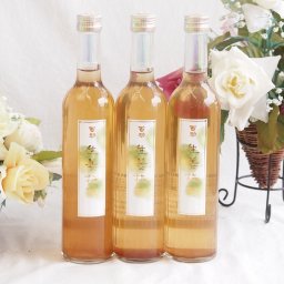 3本セット(生姜の香り・爽快な味わい！生姜梅酒 百助 井上酒造（大分県）) 500ml×3本