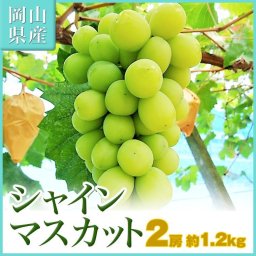 岡山産 シャインマスカット 2房 約1.2kg 家庭用 マスカット ぶどう ブドウ 種無しぶどう 葡萄 