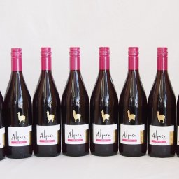 8本セット(チリ赤ワイン アルパカピノ・ノワール) 750ml×8本