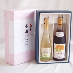 実りの秋の贈り物 感謝の贈り物ボックス信州産シャインマスカットとナイアガラワインと国産ワインセット(北海道の詩 プレミアムキャンベル赤ワイン 甘口(北海道)720ml信州シャインマスカット＆ナイアガラスパークリング500ml