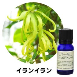 フレーバーライフ エッセンシャルオイル イランイラン 10ml 精油 自然 アロマテラピー リラックス 癒し 健康 ナチュラル 美容 リフレッシュ ストレス軽減 バランス 香り ウェルネス エネルギー 高品質 心身の調和 癒やし効果