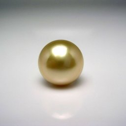 真珠 ネクタイピン パール 白蝶真珠 12.98mm ライトゴールド（ナチュラル） K18 イエローゴールド 針 53375 イソワパール