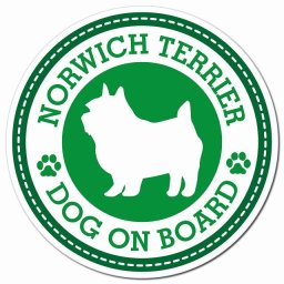 NORWICH TERRIER ノーリッチテリア グリーン 肉球 カーサイン 車 マグネットステッカー 犬 マグネット 強力 直径13cm 丸型 おしゃれ かわいい ドラレコステッカー 安全対策 危険運転 煽り運転 アニマル 動物 犬種別 屋外 防水 屋内 肉球マーク