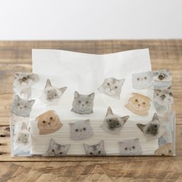 クリアティッシュケース ビニール製   M. cat faces/ Animal 09