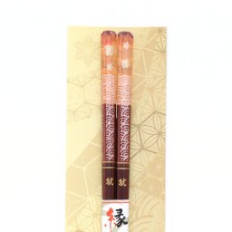 (全国送料無料) やくも箸本舗 ご縁箸 「桜千鳥（ピンク）」 1膳 メール便 (yb00038674m)