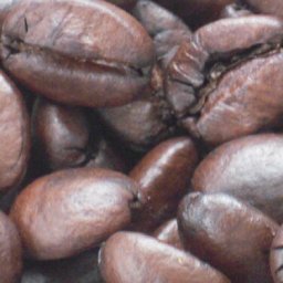 珈琲家の珈琲　モカ・シダモ100ｇ（エチオピア）