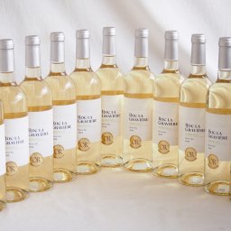 11本セット(フランス金賞受賞白ワイン ロック ラ グラヴィエール ボルドー ブラン セック2024(フランス)) 750ml×11本