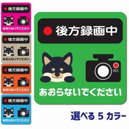 後方録画中 あおらないでください 黒柴 カーサイン 車 マグネットステッカー 犬 マグネット 強力 13x13cm 正方形 ぱんだ いぬ こあら らいおん ねこ しろくま ドラレコステッカー 安全対策 危険運転 煽り運転 アニマル 動物 イラスト付 ドライブレコーダー REC 