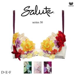 ワコール サルート 30G ブラジャー BTJ430 3/4カップワイヤー (P-upタイプ) D・E・Fカップ