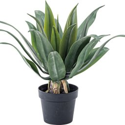 フェイクグリーン アガベ 約W53×D53×H53 GRN-14 フェイクグリーン 観葉植物 人工観葉植物 アガベ 葉 造花 インテリア 癒し グリーン リーフ おしゃれ ガーデン 室内 飾り