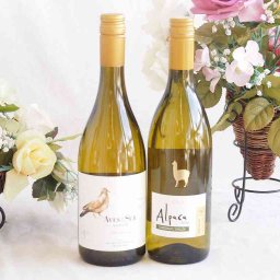 爽やかな酸味のチリ辛口白ワイン 2本セット(デル スール シャルドネ アルパカ シャルドネ セミヨン) 750ml×2本