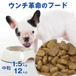★獣医師推奨★ グリーンフィッシュ 犬 中粒1.5kg、12kg 魚のEPA、DHAで賢く！認知機能維持！【無添加】ドライフード ( 犬のえさ 餌 エサ えさ 成犬 シニア 高齢犬 目やに 目ヤニ 涙やけ アレルギー )ドッグフード・サプリメント