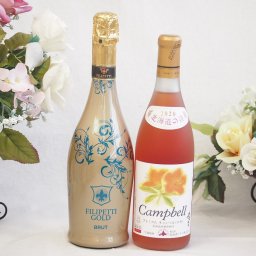辛口スプマンテスパークリングワインと国産ワインセット(北海道の詩 プレミアムキャンベルロゼワイン 甘口(北海道)720mlフィリペッティ ゴールド ブリュット (イタリア) 750ml