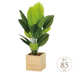 フェイクグリーン 鉢植え 大型 ウッドボックス スキタンブサス 85cm 人工 観葉植物 光触媒 インテリア グリーン おしゃれ 飾り