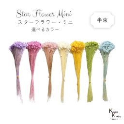 大地農園！「スターフラワー ミニ 半束 約6g（約200本）」 ドライフラワー プリザーブドフラワー 花材 プリザ アレンジ 資材 敬老の日