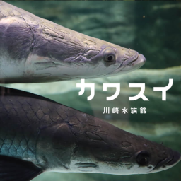 入館チケット（小・中学生）交換用チケット