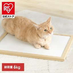 【公式】 NECOCOCHI NCC-45 ナチュラル ネコ用 モイス珪藻土マット 珪藻土マット 珪藻土 マット 猫 ねこ ネコ ペットマット ペットベッド 寝床 ノンアスベスト 日本製 国産 すべり止め ケース付き 猫用品 アイリスオーヤマ 
