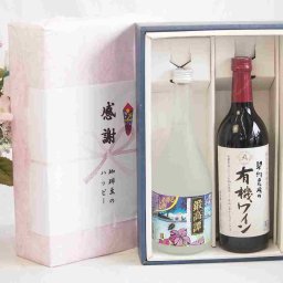 実りの秋の贈り物 感謝の贈り物ボックス 紫蘇香り引き立つ鍛高譚と酸化防止剤無添加ワインセット(酸化防止剤無添加 契約農場の有機赤ワイン やや甘口(長野県)720mlしそリキュール鍛高譚(北海道)720ml