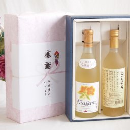 実りの秋の贈り物 感謝の贈り物ボックス プレミアムなナイアガラワインと国産ワインセット にごりデラ 白ワイン やや甘口(山梨県)720mlおたる完熟ナイアガラ甘口白ワイン720ml