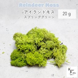 大地農園！プリザーブドフラワー 「アイランドモス スプリンググリーン 20g」 モス プリザ 花材 ハーバリウム 苔 フォーム隠し プレゼント 贈り物　オオチノウエン テラリウム ガラスドーム moss