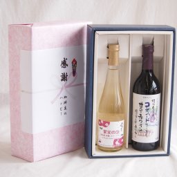 実りの秋の贈り物 感謝の贈り物ボックス林檎スパークリングと国産ワインセット(酸化防止剤無添加 信州コンコード赤ワイン 甘口(長野県)720ml果実の泡 北海道林檎スパークリング500ml 