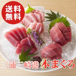 【送料無料】三浦三崎港 本まぐろ詰め合わせ【誕生日 結婚祝い 出産祝い 還暦祝い 結婚記念日 送別会 お祝い 引越し祝い 新築祝い 初節句 古希 喜寿 傘寿 お返し 内祝い お見舞い 快気祝い 金婚式 銀婚式 パーティー 景品 賞品 グルメ 母 父 女性 男性 両親 友達 親戚 上司 先輩 後輩 家族 子供 大人 彼氏 彼女 夫婦】【お歳暮 ハロウィン】