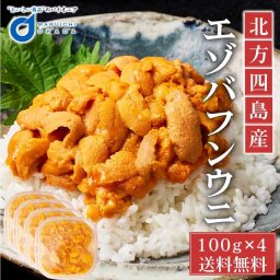 ウニ 塩水  冷蔵配送 塩水うに 100g x 4パック 北方四島産 生うに バフン 生ウニ 雲丹 北海道 グルメ 場外市場 無添加 塩水パック 母の日 ギフト 【冷凍】【生鮮】 お取り寄せ 人気