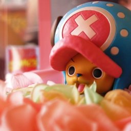 チョッパー　フィギュア　花　レインボーローズ　プリザーブドフラワー　プリザーブドフラワー入り　ケース付き