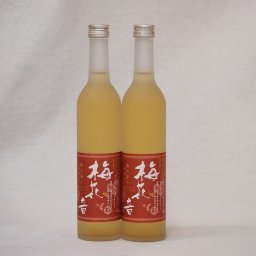 梅酒2本セット(梅花音梅酒(岩手)) 500ml×2本