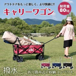 キャリーワゴン キャリーカート 折りたたみ コンパクト 耐荷重80kg ショッピングカート 荷物 移動 キャンプ 大容量 収納 運動会 海水浴 ガーデニング 園芸用品 雑貨 グッズ 庭 ベランダ 運動会 アウトドア バーベキュー