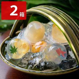 葉山 日影茶屋 夕涼み 詰め合わせ 2箱 和菓子 スイーツ 個包装 ゼリー 水菓子 お取り寄せ 神奈川県 お菓子 デザート 冷たいスイーツ お茶請け おやつ