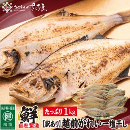【訳あり】越前がれい一塩干し１キロ 美味しい贈物 敬老の日 お歳暮 ギフト