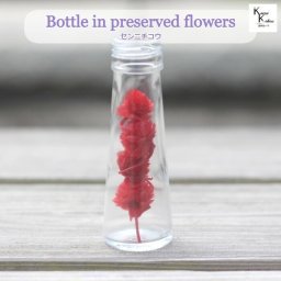 大地農園「ボトルインフラワー　センニチコウ　千日紅　レッド　4個　円錐50ml」プリザーブドフラワー　プリザ　ハーバリウム　小花 ドライフラワー ハーバリウム アロマワックスバー サシェ キャンドル 花材