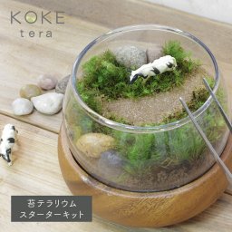 苔テラリウムキット 牛のフィギュア付きキット