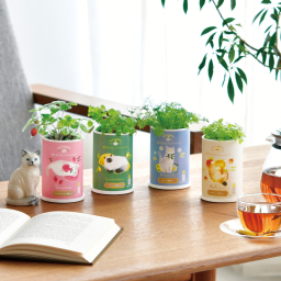 Grow Flavor 育てるフレーバー ハーブ セット