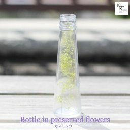 大地農園「ボトルインフラワー　カスミソウ　エンジェルグリーン　1ｇ　円錐120ml」プリザーブドフラワー　プリザ　ハーバリウム　小花 ドライフラワー ハーバリウム アロマワックスバー サシェ キャンドル 花材