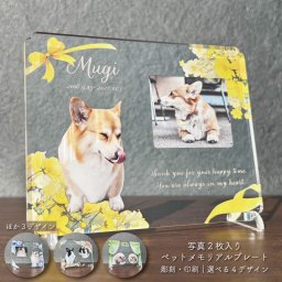 写真入り ペットメモリアルプレート イエローリボン｜選べる4デザイン 写真2枚 彫刻 印刷 名入れ 名前入り 日付 メッセージ入り アクリル 犬 猫 愛犬 愛猫 うさぎ 鳥 インコ ハムスター ペット供養 遺影 位牌 手元供養 お悔やみ お供え ペットロス メモリアルグッズ フォトプレート 写真立て オーダーメイド オリジナル 記念品 プレゼント ギフト 贈り物 花柄 リボン レース かわいい