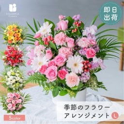 フラワーギフト　カラフルガーデンフラワーアレンジメント　Lサイズ　生花 特大　サプライズ　花市場から直送 父の日　お祝い 誕生日 記念日