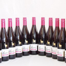 11本セット(チリ赤ワイン アルパカピノ・ノワール) 750ml×11本