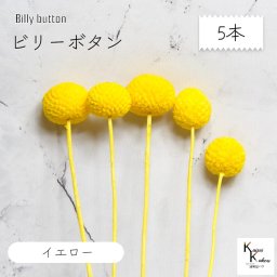 大地農園！プリザーブドフラワー 「ビリーボタン イエロー 5本」プリザ 花材 ハーバリウム おしゃれ かわいい プレゼント 贈り物　オオチノウエン