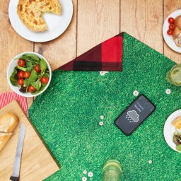 SUCK UK インドア ピクニック ブランケット「Indoor Picnic Blanket」イギリス サックユーケー ◇