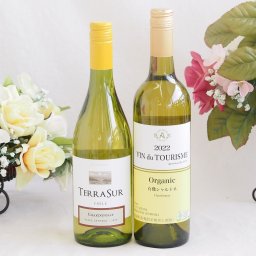 産地別白ワインシャルドネ2本セット(テラスル(チリ) ヴァン ドゥ ツーリズム有機(スペイン)) 750ml×2本